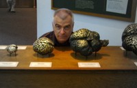 buzsaki with brains
